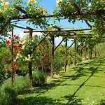 Lantgård Casale Dei Frontini