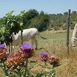 Casale Dei Frontini *
