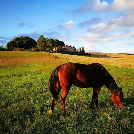 Casale Dei Frontini * San Terenziano