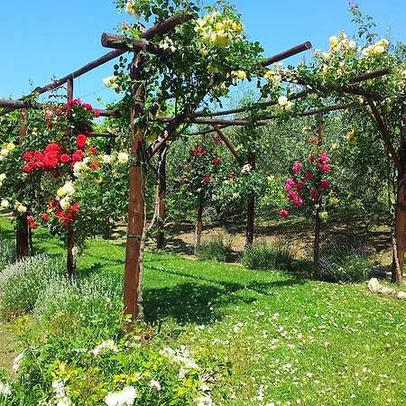 ファームステイ Casale Dei Frontini *