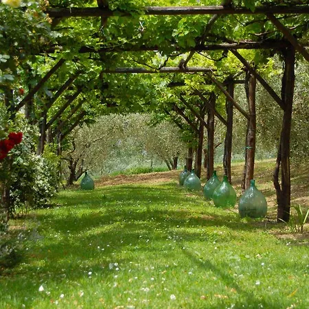 Casale Dei Frontini San Terenziano