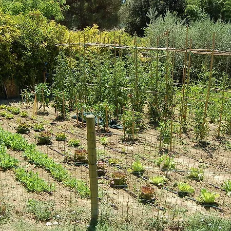 Casale Dei Frontini San Terenziano