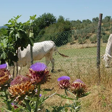 Casale Dei Frontini *
