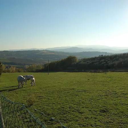 Casale Dei Frontini San Terenziano