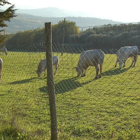 Séjour à la ferme Casale Dei Frontini