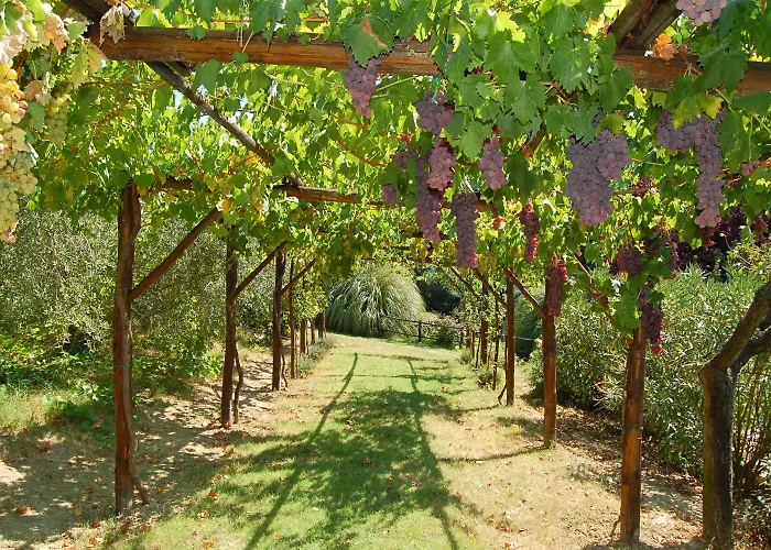 Casale Dei Frontini San Terenziano