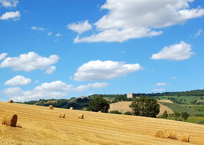 ファームステイ Casale Dei Frontini San Terenziano