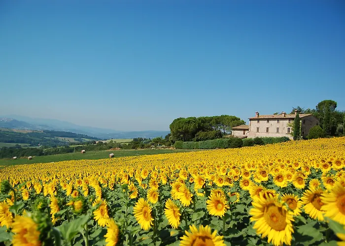 Casale Dei Frontini San Terenziano
