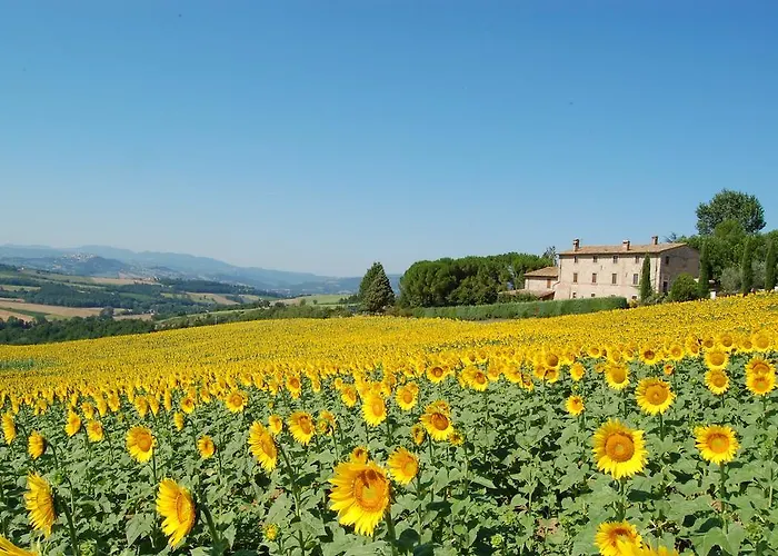Casale Dei Frontini * San Terenziano