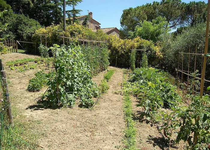 ファームステイ Casale Dei Frontini *