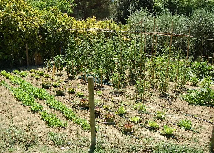 Casale Dei Frontini San Terenziano