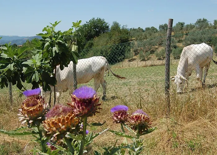 Casale Dei Frontini *