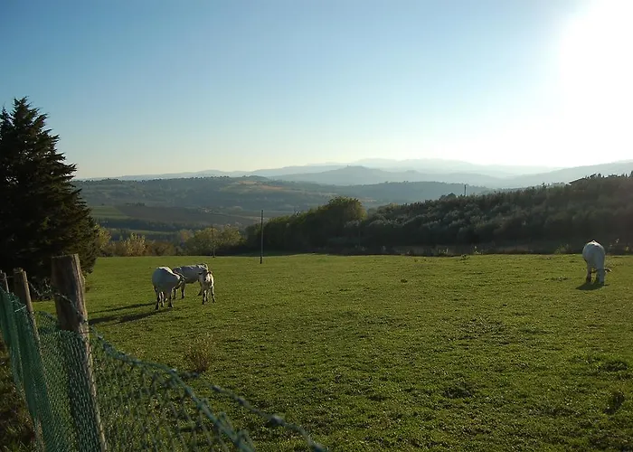 Casale Dei Frontini San Terenziano