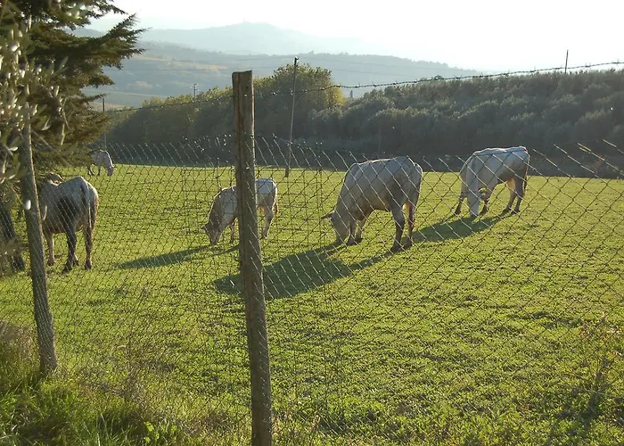 Alojamento de Turismo Rural Casale Dei Frontini